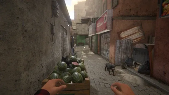 Thumbnail 3