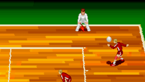 Dig & Spike Volleyball Screenshot