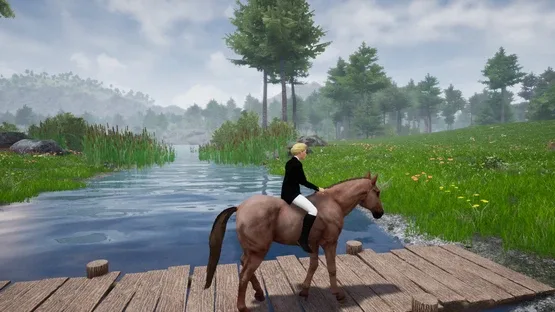 Screenshot 22