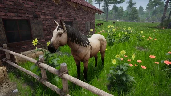 Screenshot 23