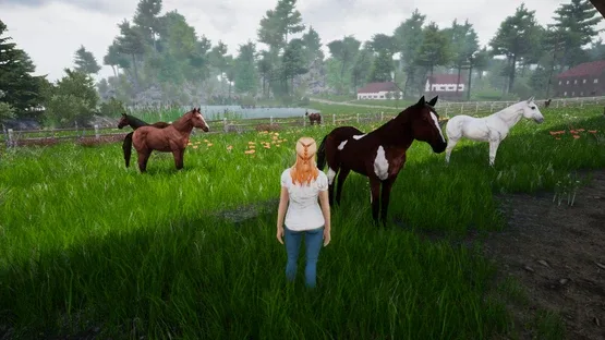 Screenshot 24