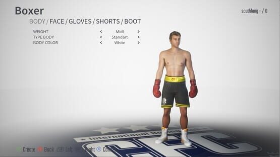 Cyber Fight Challenge cover