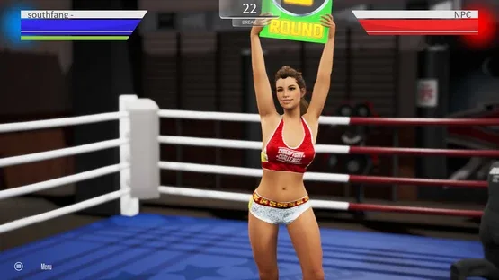 Cyber Fight Challenge screenshot 5