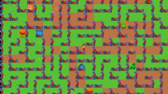 Endurance Labyrinth cover