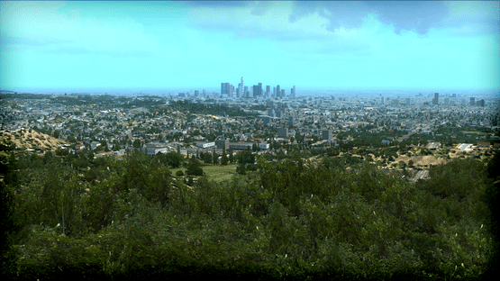 Microsoft Flight Simulator X: Steam Edition - FTX Trees HD Screenshot