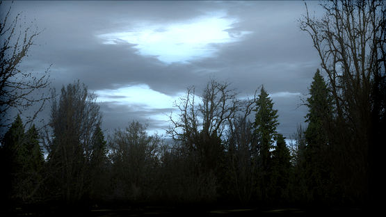 Microsoft Flight Simulator X: Steam Edition - FTX Trees HD Screenshot