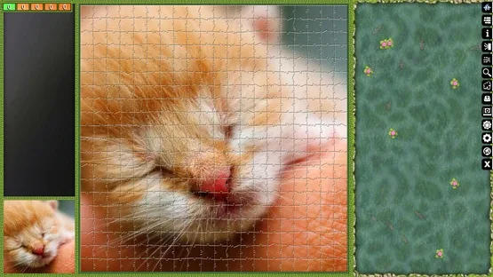Thumbnail 11