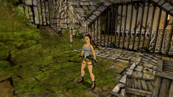 Tomb Raider: The Lost Artifact Screenshot