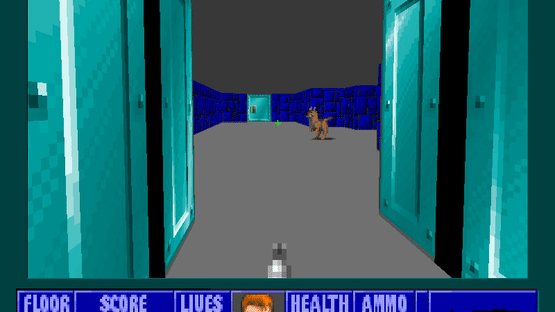 Wolfenstein 3D TC Screenshot