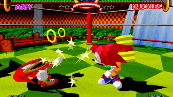 Sonic the Fighters Screenshot