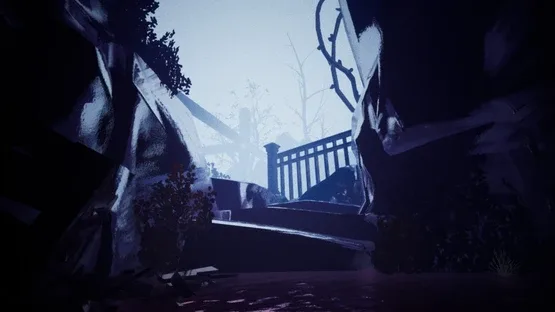 Thumbnail 12
