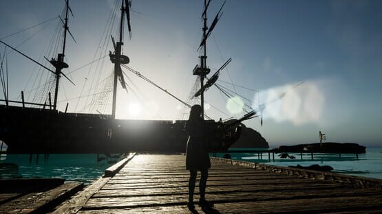 Turtle's Quest cover