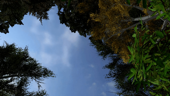 Old Quarry Screenshot