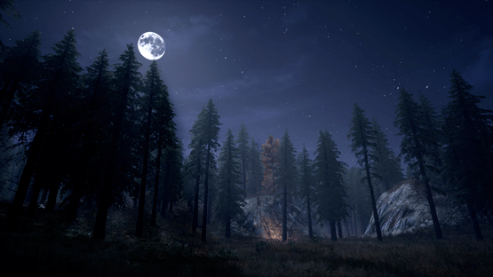 Nightwalker Screenshot
