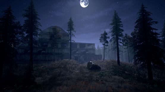 Nightwalker Screenshot