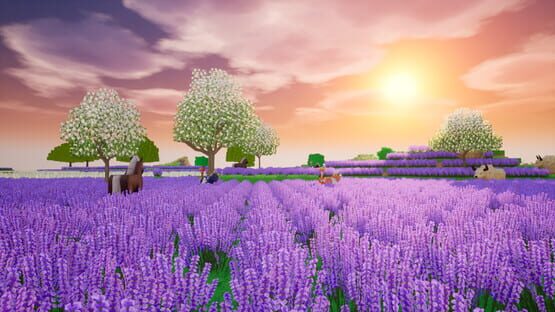 Dragon and Home cover