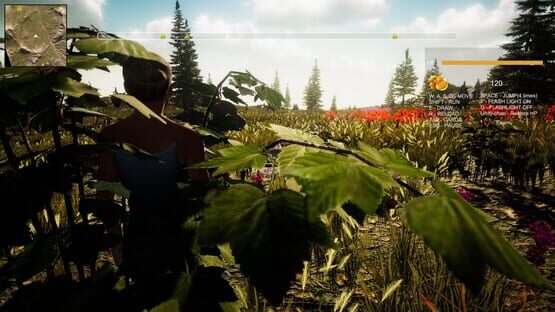 screenshot 38