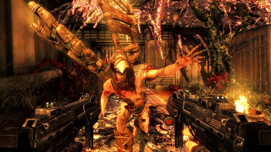 Shadow Warrior Collection Screenshot