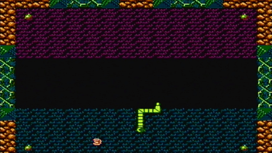 NeSnake 2 Screenshot