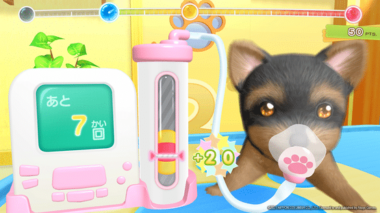 Pups & Purrs Animal Hospital Screenshot