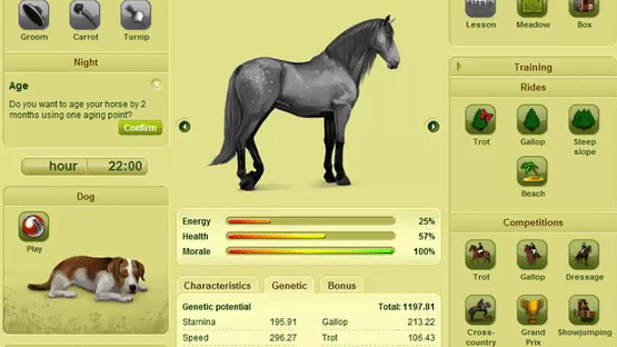 Howrse Screenshot