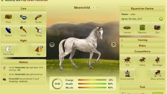 Howrse Screenshot