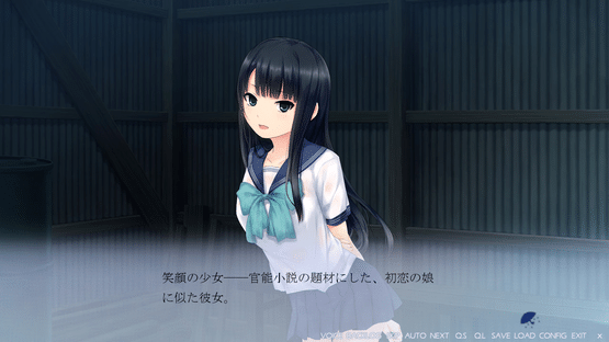 Ame Koi Screenshot