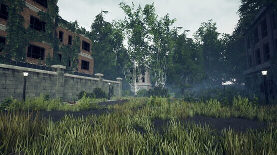 Thumbnail 13