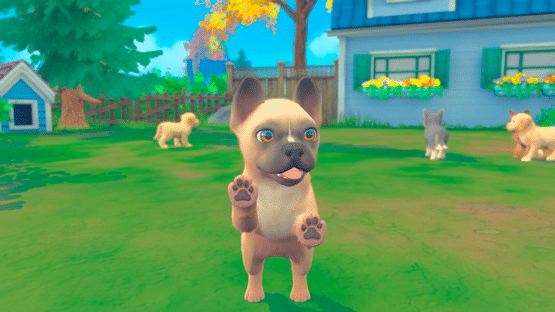 My Universe: Puppies and Kittens Screenshot