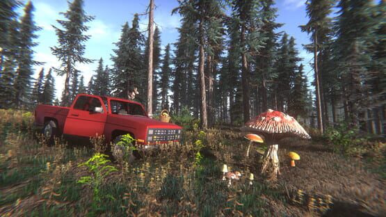 Mushroom Challenge screenshot 3