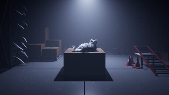 Follow The Cat cover