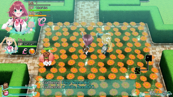 Omega Labyrinth Life: Flower Fantasia Screenshot