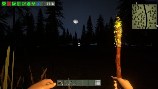 The Survivor screenshot 1