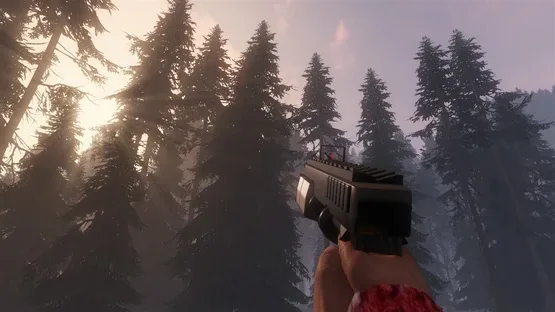 Thumbnail 12
