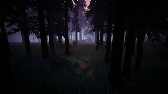 Radiolight screenshot 4