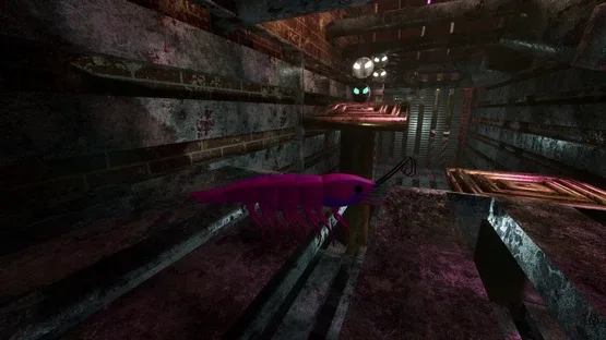 Shrimp screenshot 5