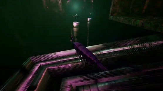 Shrimp screenshot 6