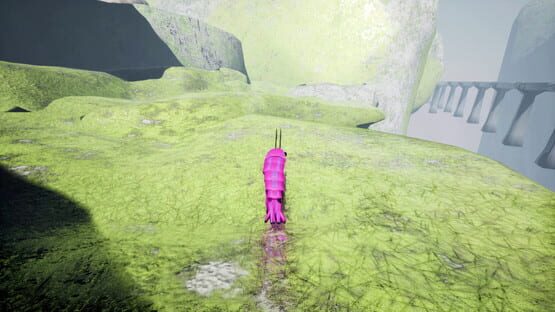 Thumbnail 23