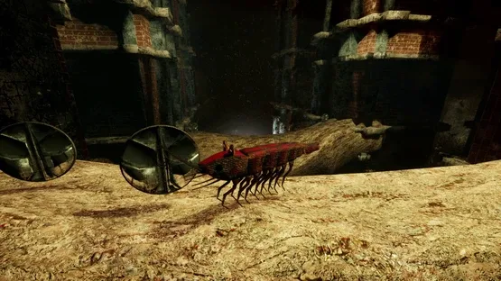 Shrimp screenshot 33
