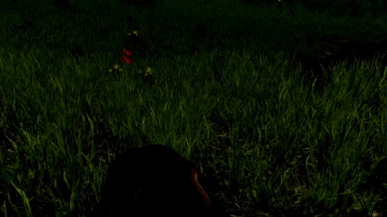 Yellow Brick Road Screenshot