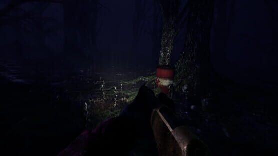 Try to Survive! screenshot 2