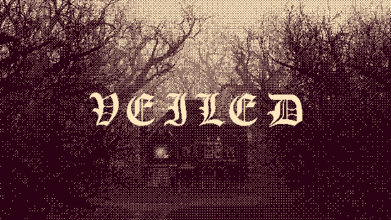 Veiled Screenshot