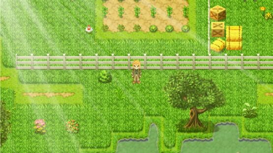 Underground Life cover