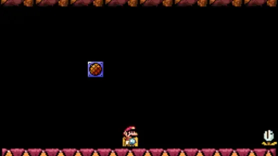 Super Ryu World screenshot 2