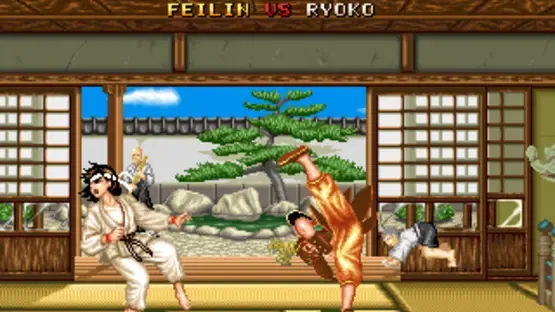Fighter's History screenshot 12