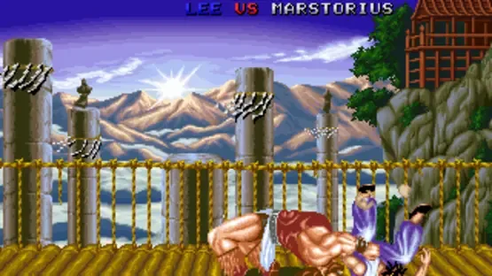 Fighter's History screenshot 11