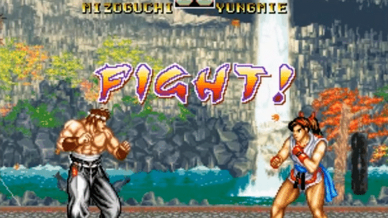 Fighter's History Dynamite Screenshot