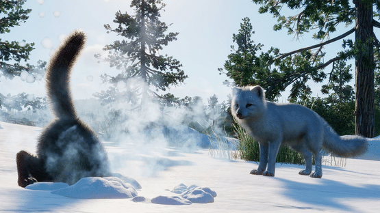 Planet Zoo: North America Animal Pack Screenshot