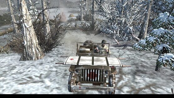 screenshot 13