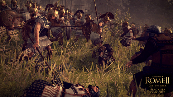 Total War: Rome II - Black Sea Colonies Screenshot